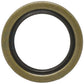 834831M1 New Front Crankshaft Seal Fits Case-IH Tractor Models 460 606 560